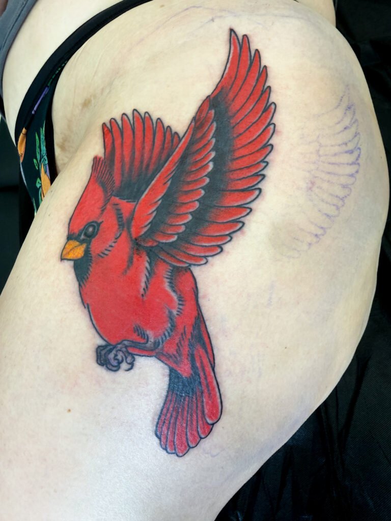 American traditional cardinal tattoo